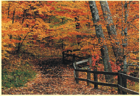 Herfs/Autumn